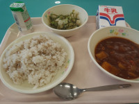 P6100093