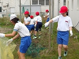 IMGP1007