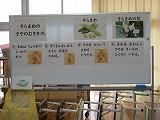 IMG_6030