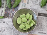 IMG_6045