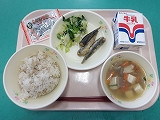 IMGP1116