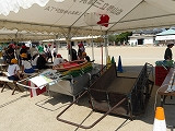 IMGP1285