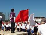 s-IMGP1382