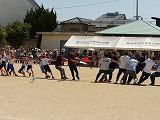 s-IMGP2050