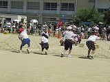 s-IMG_6274