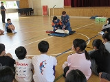 IMG_6445