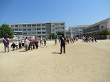 IMG_6461