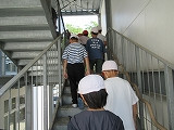 IMG_6463