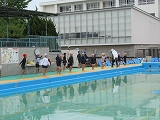 IMG_6472