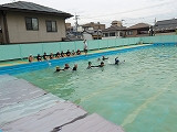 IMGP2016