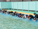 IMG_6485