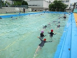 IMG_6490
