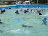 IMG_6504