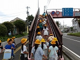 IMGP1763