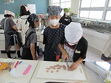 IMG_6654