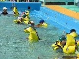 IMG_6743