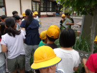 IMGP3007