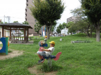 IMGP2998