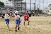 DSC06795