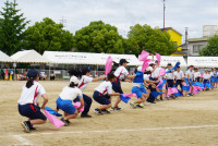 DSC06809
