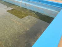 P5300004