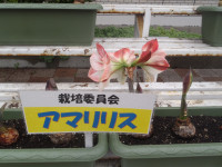 P6090081
