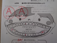 P7080010