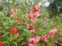 P9040025