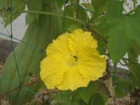 P9040030