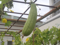 P9040031