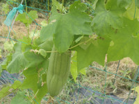 P9040032