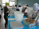 IMG_6906