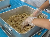 IMG_6911