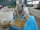 IMG_6913