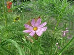 IMG_6985