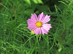 IMG_6992