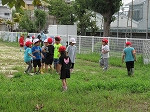 IMG_7019