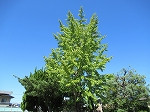 IMG_7113