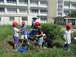 IMG_7106